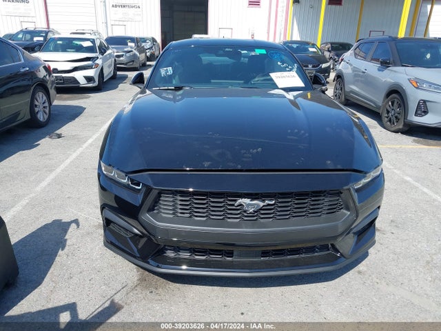 Ford Mustang Ecoboost Fastback 2024 1FA6P8TH5R5124714 Image 13