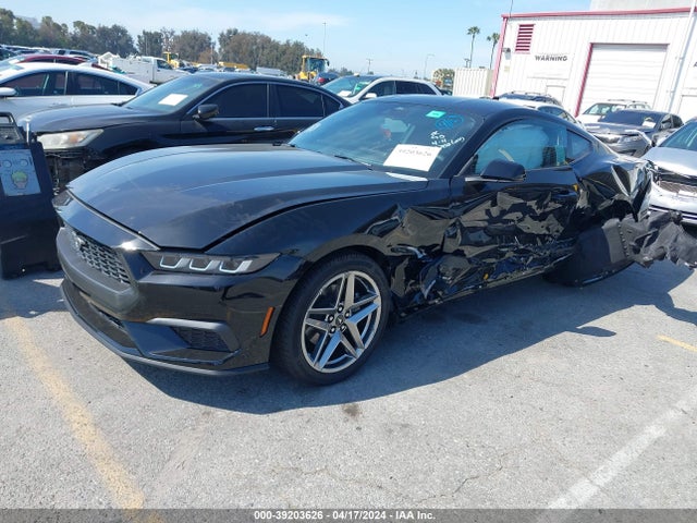 Ford Mustang Ecoboost Fastback 2024 1FA6P8TH5R5124714 Image 2