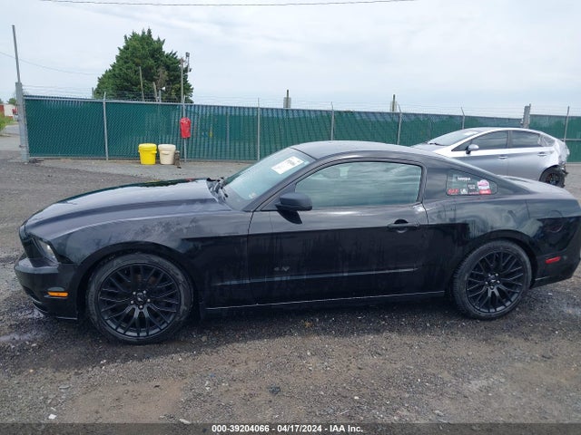 Ford Mustang V6 2014 1ZVBP8AM5E5205809 Image 13