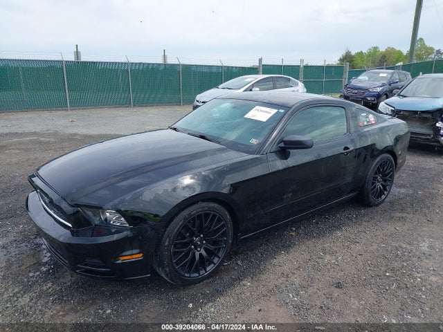 Ford Mustang V6 2014 1ZVBP8AM5E5205809 Image 2