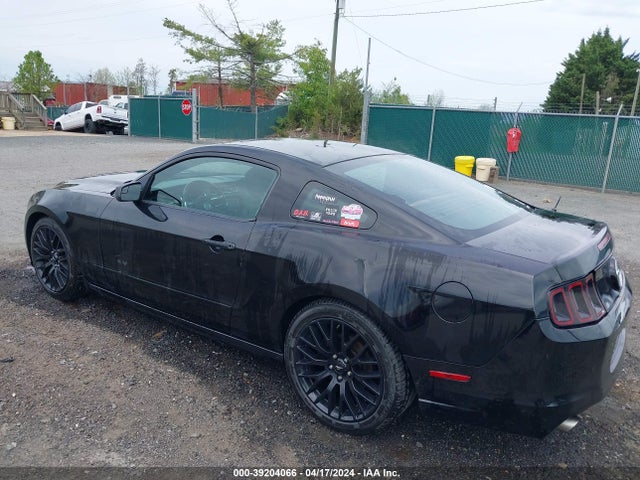 Ford Mustang V6 2014 1ZVBP8AM5E5205809 Image 3