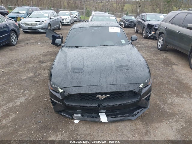 Ford Mustang Ecoboost Fastback 2021 1FA6P8TH5M5150478 Image 12