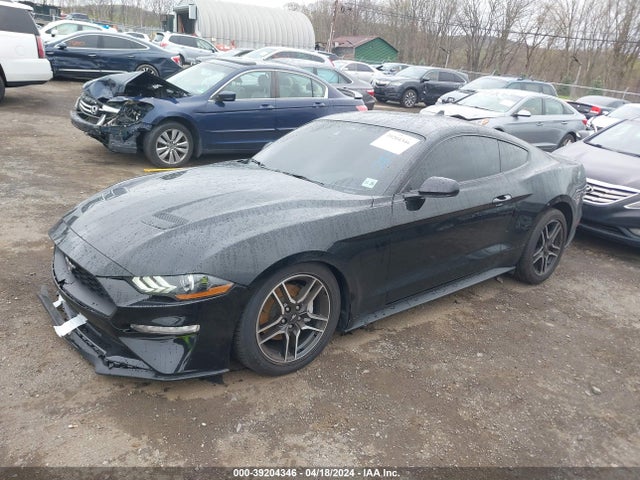Ford Mustang Ecoboost Fastback 2021 1FA6P8TH5M5150478 Image 2