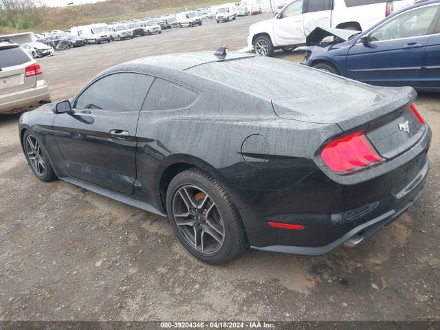 Ford Mustang Ecoboost Fastback 2021 1FA6P8TH5M5150478 Image 3