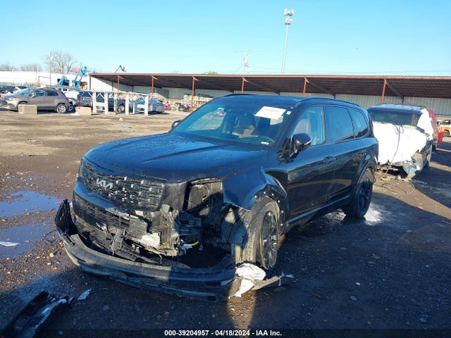 KIA Telluride Sx 2022 5XYP5DHC9NG307416 Image 2