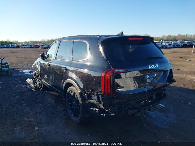KIA Telluride Sx 2022 5XYP5DHC9NG307416 Image 3