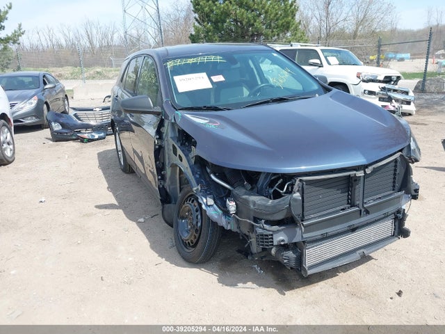 Chevrolet EQUINOX LS 2019 3GNAXHEV9KL300832 main image