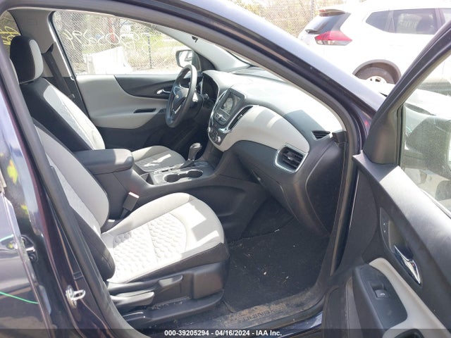 Chevrolet EQUINOX LS 2019 3GNAXHEV9KL300832 Image 5
