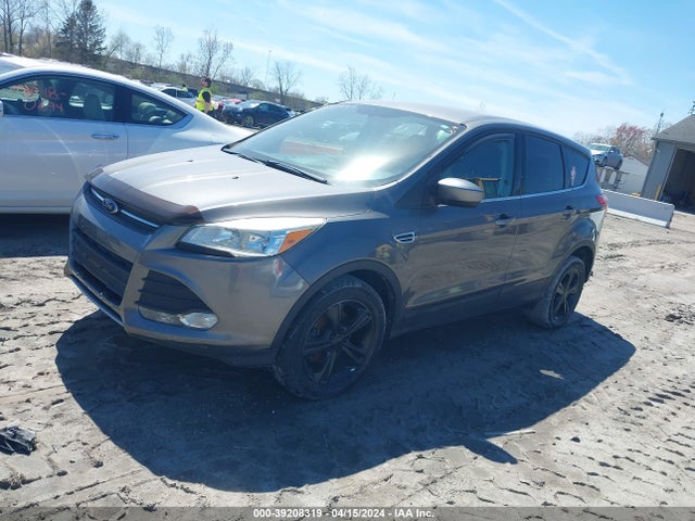 Ford ESCAPE SE 2014 1FMCU0GX4EUA28464 Image 2