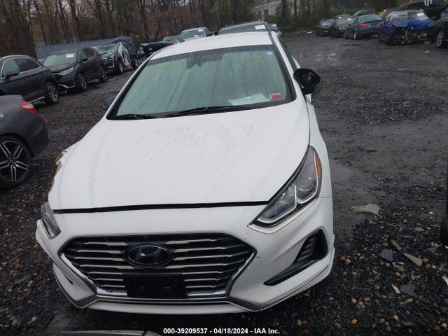 Hyundai SONATA SEL 2018 5NPE34AF0JH638731 Image 12