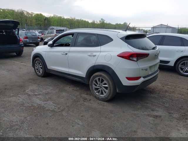 Hyundai Tucson Eco 2016 KM8J33A29GU116941 Image 3
