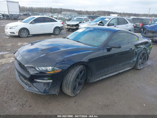 Ford Mustang Ecoboost Fastback 2021 1FA6P8THXM5120246 Image 2