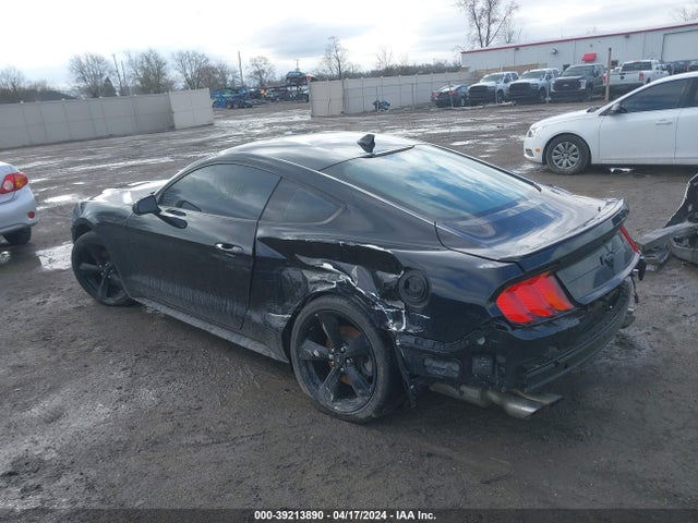 Ford Mustang Ecoboost Fastback 2021 1FA6P8THXM5120246 Image 3