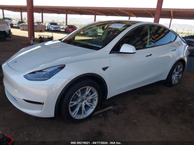 2023 TESLA MODEL Y 7SAYGAEE7PF815075 Photo 1