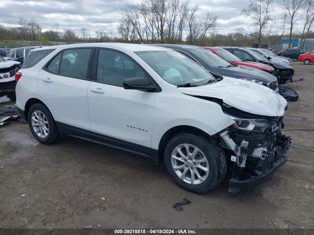 Chevrolet EQUINOX LS 2019 3GNAXHEV2KS634593 главное изображение