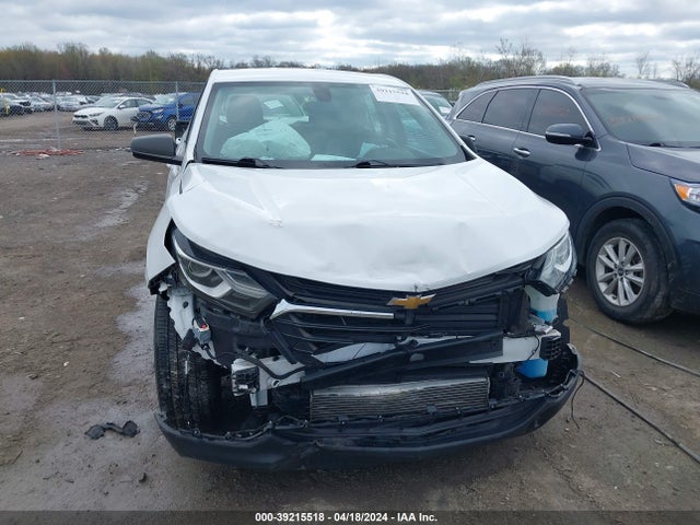 Chevrolet EQUINOX LS 2019 3GNAXHEV2KS634593 Image 13