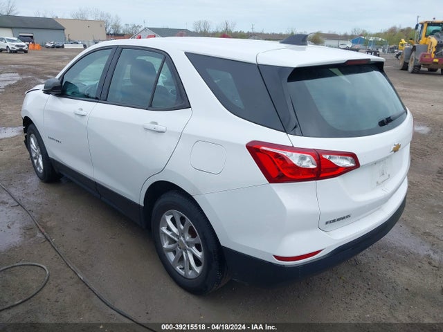 Chevrolet EQUINOX LS 2019 3GNAXHEV2KS634593 Image 3