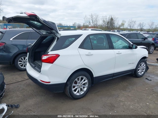 Chevrolet EQUINOX LS 2019 3GNAXHEV2KS634593 Image 4