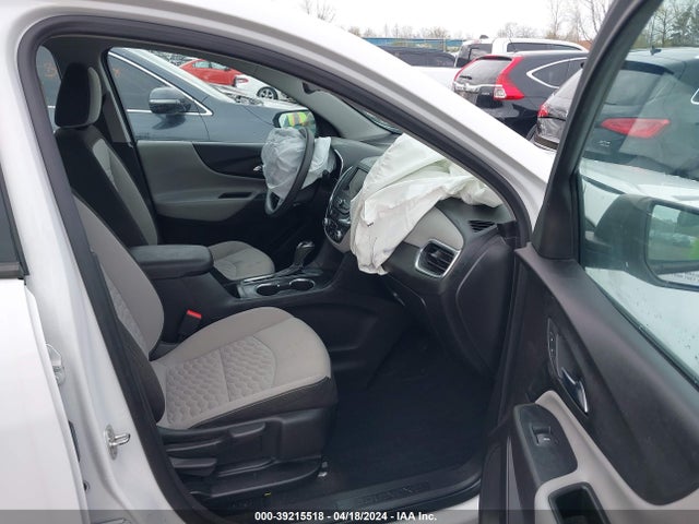 Chevrolet EQUINOX LS 2019 3GNAXHEV2KS634593 Image 5