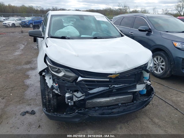 Chevrolet EQUINOX LS 2019 3GNAXHEV2KS634593 Image 6