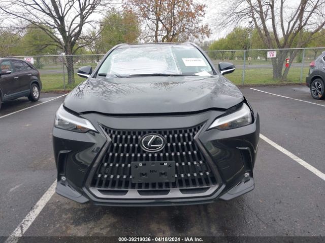 2T2GGCEZ5NC002922 Lexus Nx 350 Premium
