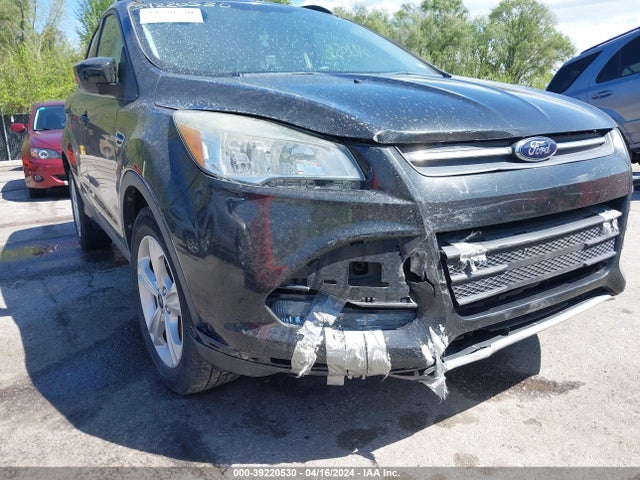 Ford ESCAPE SE 2014 1FMCU0GX2EUC02483 Image 6