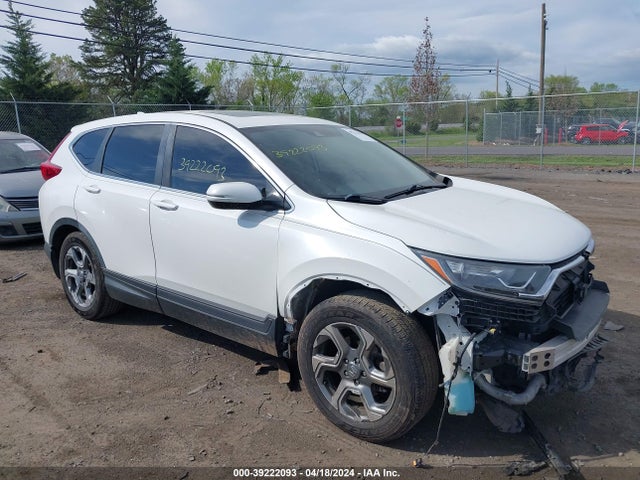 2019 5J6RW1H59KA027927 main image