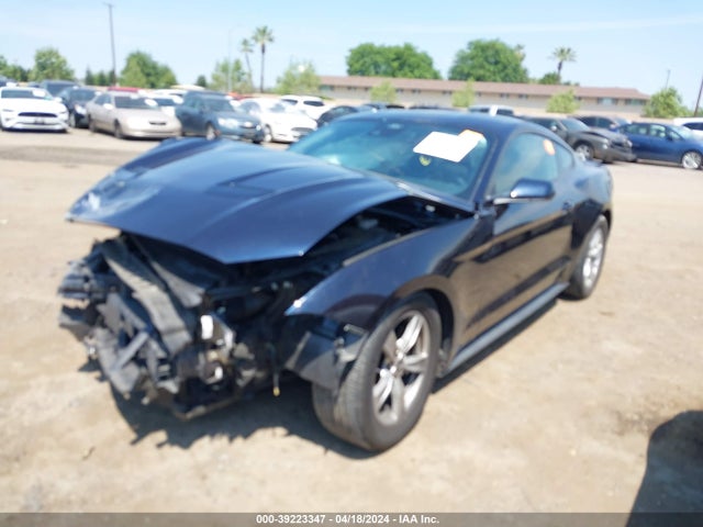 Ford Mustang Ecoboost Fastback 2021 1FA6P8TH1M5156150 Image 2