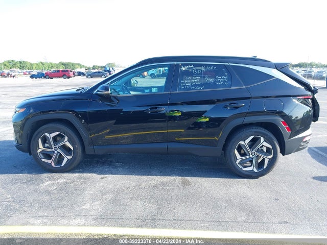 Hyundai Tucson Limited 2024 5NMJECDEXRH352447 Image 14