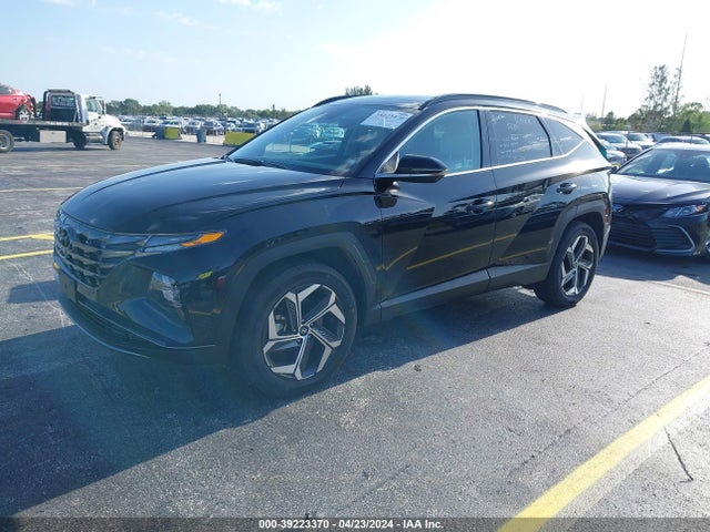 Hyundai Tucson Limited 2024 5NMJECDEXRH352447 Image 2