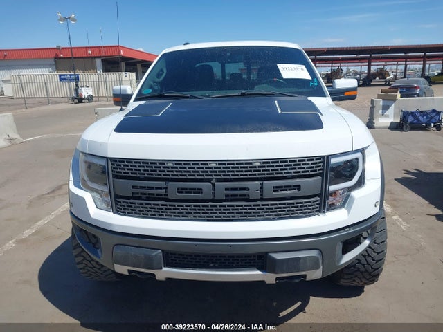 Ford F-150 Svt Raptor 2014 1FTFW1R65EFC95509 Image 12