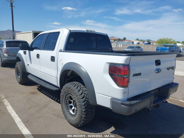 Ford F-150 Svt Raptor 2014 1FTFW1R65EFC95509 Image 3