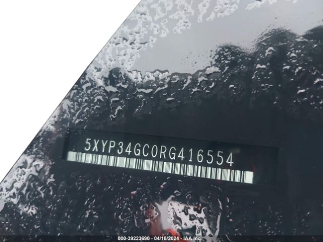 5XYP34GC0RG416554 KIA Telluride Ex