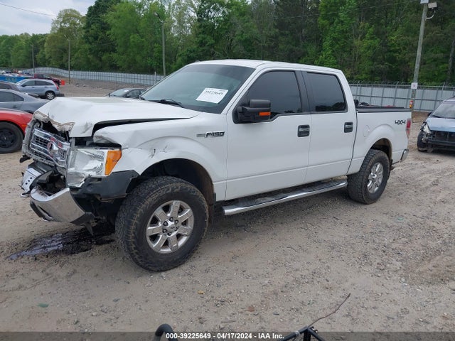 Ford F-150 Xlt 2014 1FTFW1EF9EFA05469 Image 2