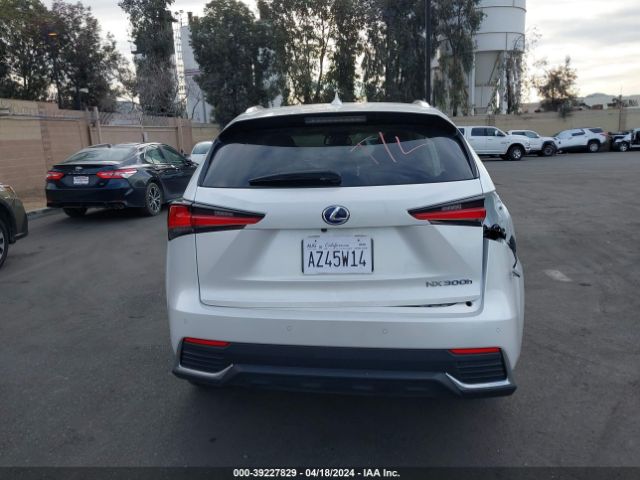 JTJGJRDZ4L5009037 Lexus NX 300H
