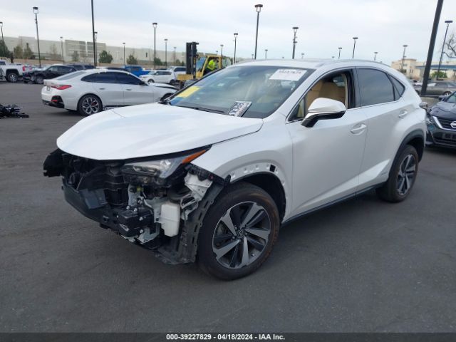 JTJGJRDZ4L5009037 Lexus NX 300H