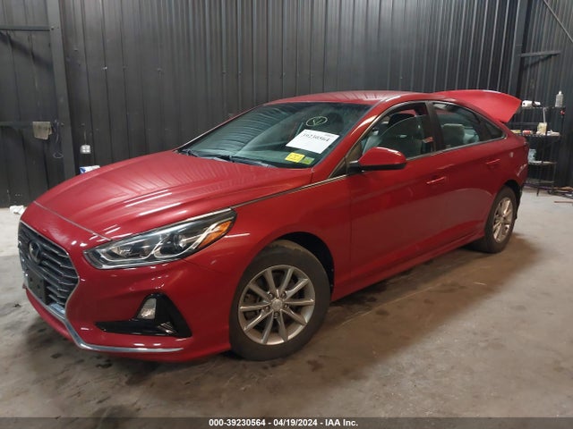 Hyundai SONATA SE 2019 5NPE24AF4KH778415 Image 2