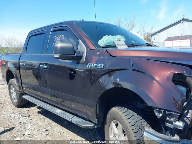 Ford F-150 Xlt 2018 1FTEW1EP2JFE63059 Image 14