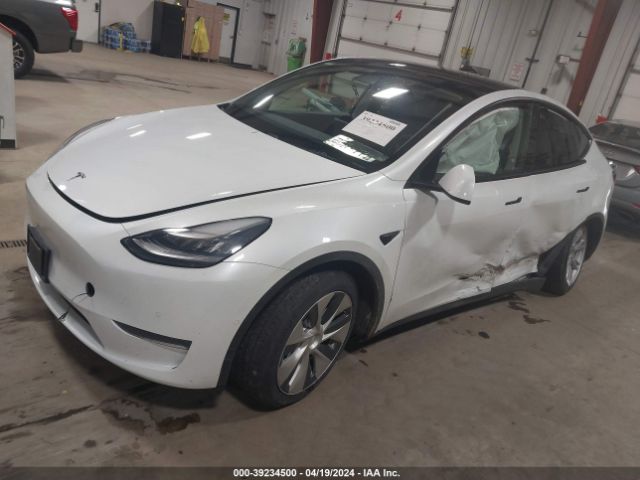 2020 TESLA MODEL Y 5YJYGDEE5LF015397 Photo 1