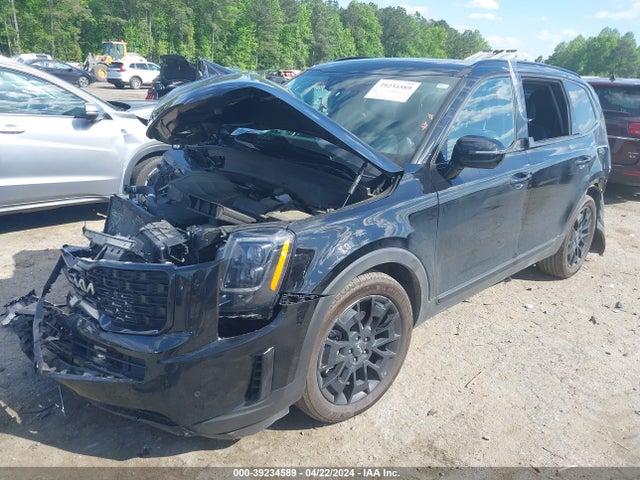 KIA Telluride Sx 2022 5XYP5DHC9NG313720 Image 2
