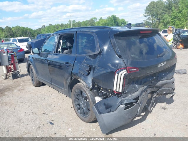 KIA Telluride Sx 2022 5XYP5DHC9NG313720 Image 3