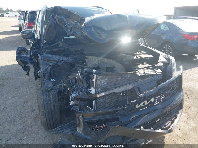 KIA Telluride Sx 2022 5XYP5DHC9NG313720 Image 6