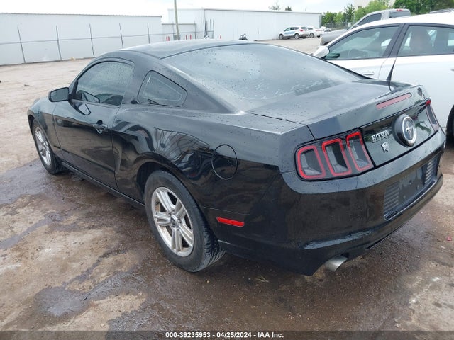 Ford Mustang V6 2014 1ZVBP8AMXE5330546 Image 3