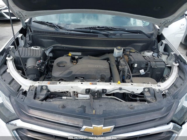 Chevrolet EQUINOX LS 2019 3GNAXSEV9KS562725 Image 10