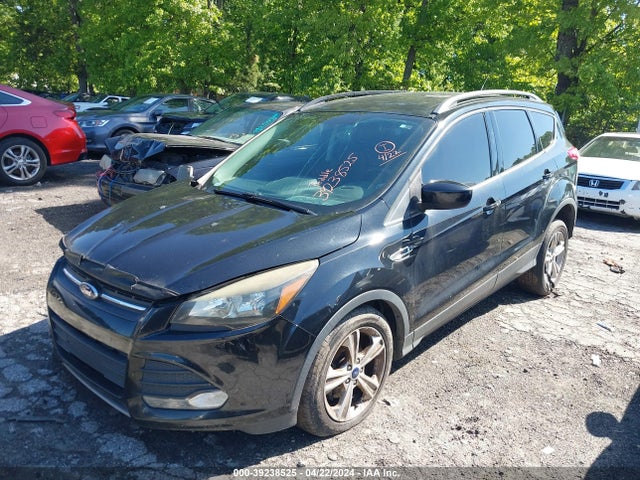 Ford ESCAPE SE 2014 1FMCU0GX7EUE15042 Image 2