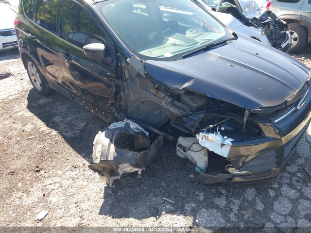 Ford ESCAPE SE 2014 1FMCU0GX7EUE15042 Image 6