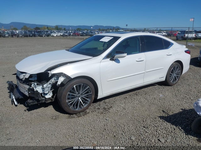 Lexus ES 300H 2022 58ADA1C13NU025584 Image 2
