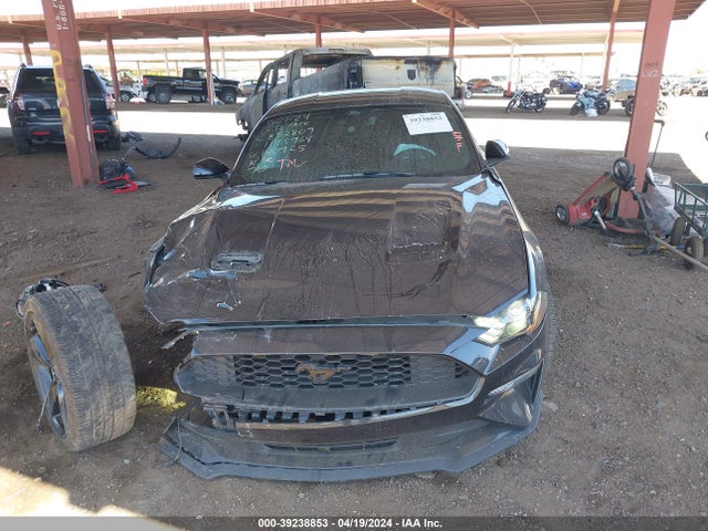 Ford Mustang Ecoboost Fastback 2022 1FA6P8TH7N5140925 Image 13