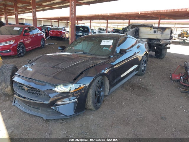 Ford Mustang Ecoboost Fastback 2022 1FA6P8TH7N5140925 Image 2