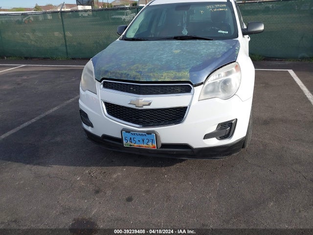 Chevrolet EQUINOX LS 2014 1GNALAEK0EZ134951 Image 6